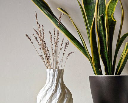 Collection image for: Vases